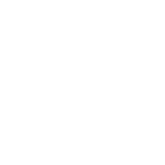 the wed vibe filmer logo